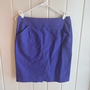 Elegant Periwinkle/Purple/Blue Women's Skirt
